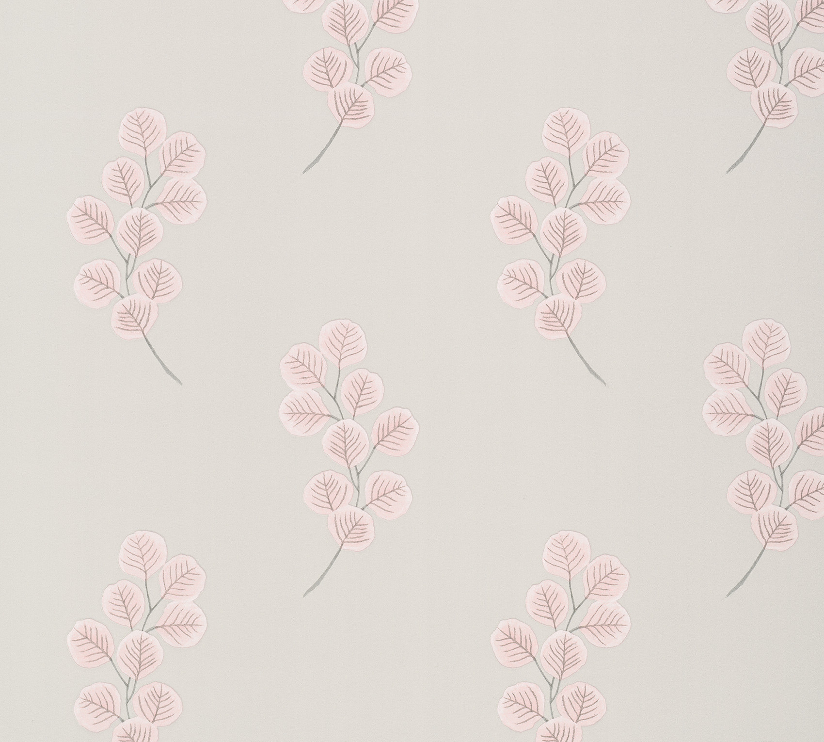 Обои Paint & Paper Library Botany Honesty Salt III 0360HOSALTZ